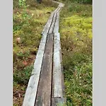 Elegant On The Shore Of Saimaa *