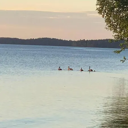 Elegant On The Shore Of Saimaa * Lappeenranta