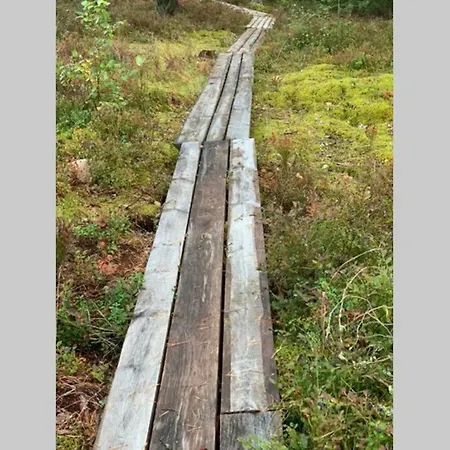 Elegant On The Shore Of Saimaa *