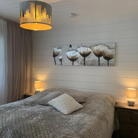 Elegant On The Shore Of Saimaa *