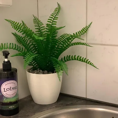 Villa Elegant On The Shore Of Saimaa