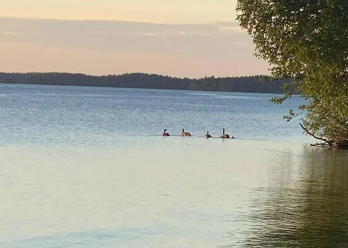 Elegant On The Shore Of Saimaa * Villmanstrand