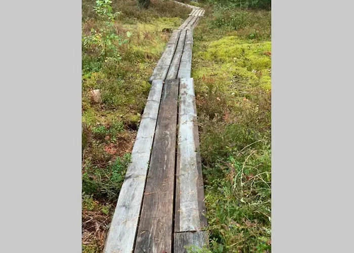 Elegant On The Shore Of Saimaa *