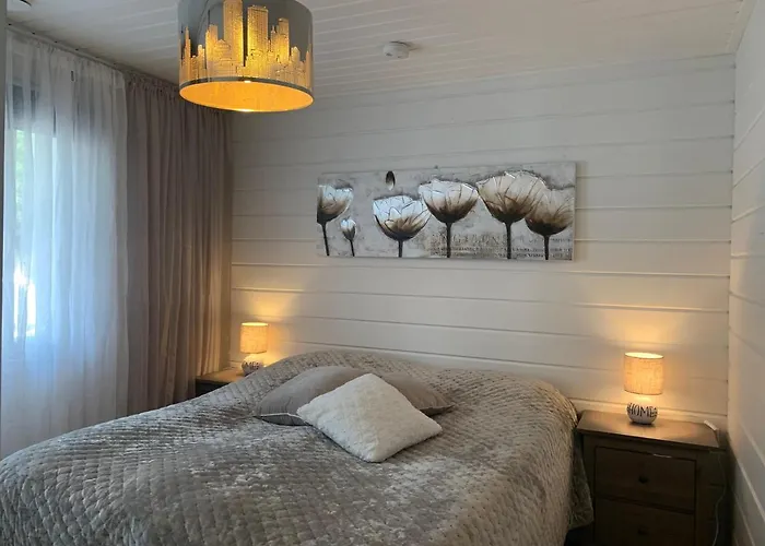 Elegant On The Shore Of Saimaa *