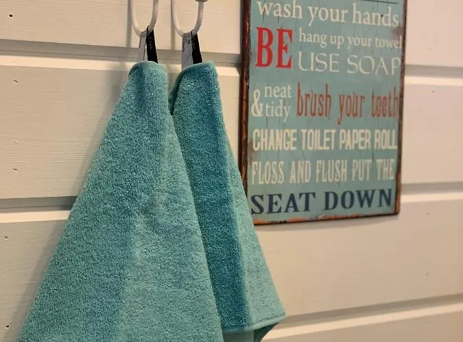 Elegant On The Shore Of Saimaa * Villmanstrand