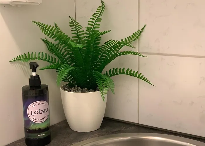 Villa Elegant On The Shore Of Saimaa